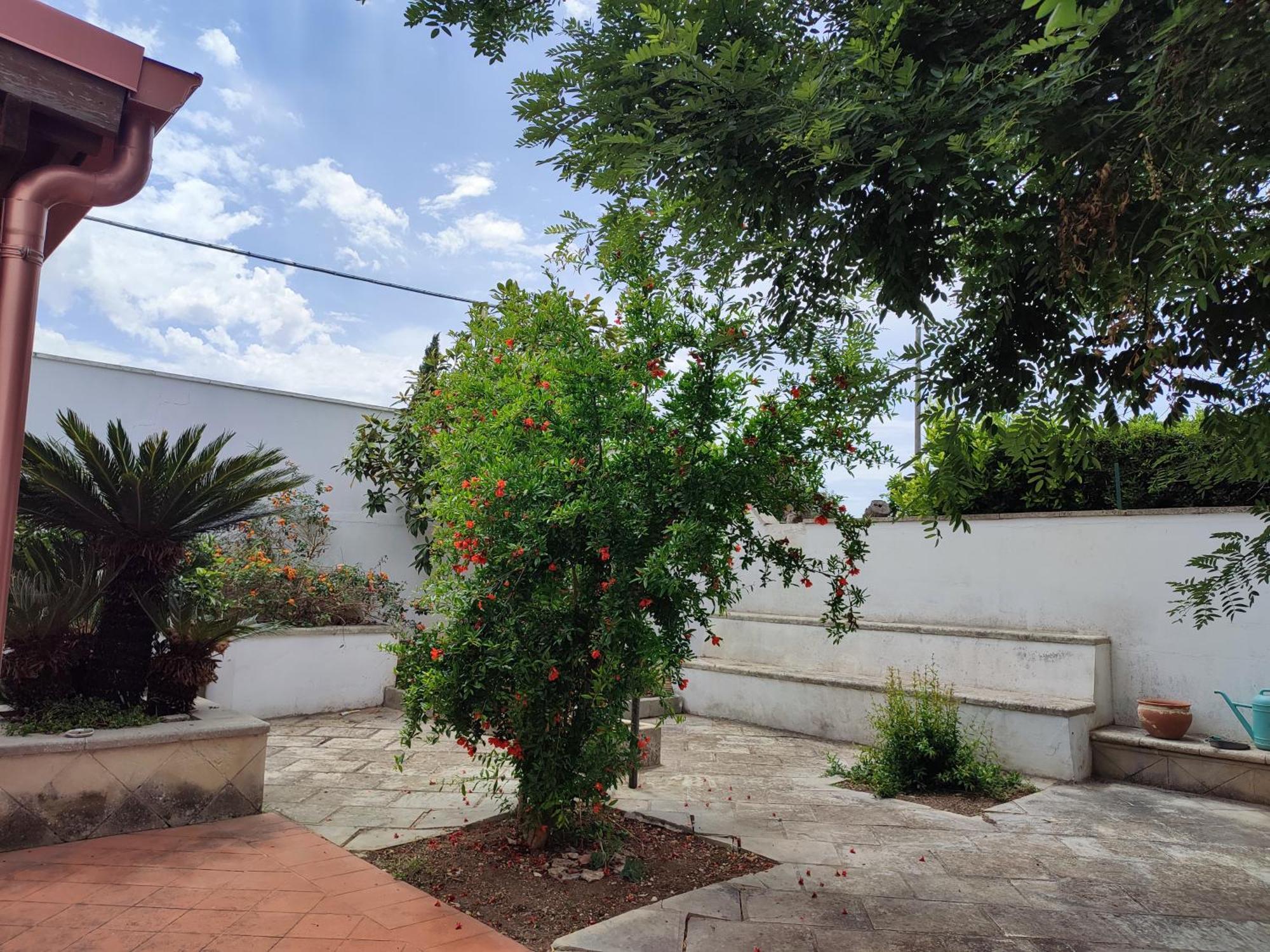 Ferienwohnung Mamasita Cutrofiano Exterior foto